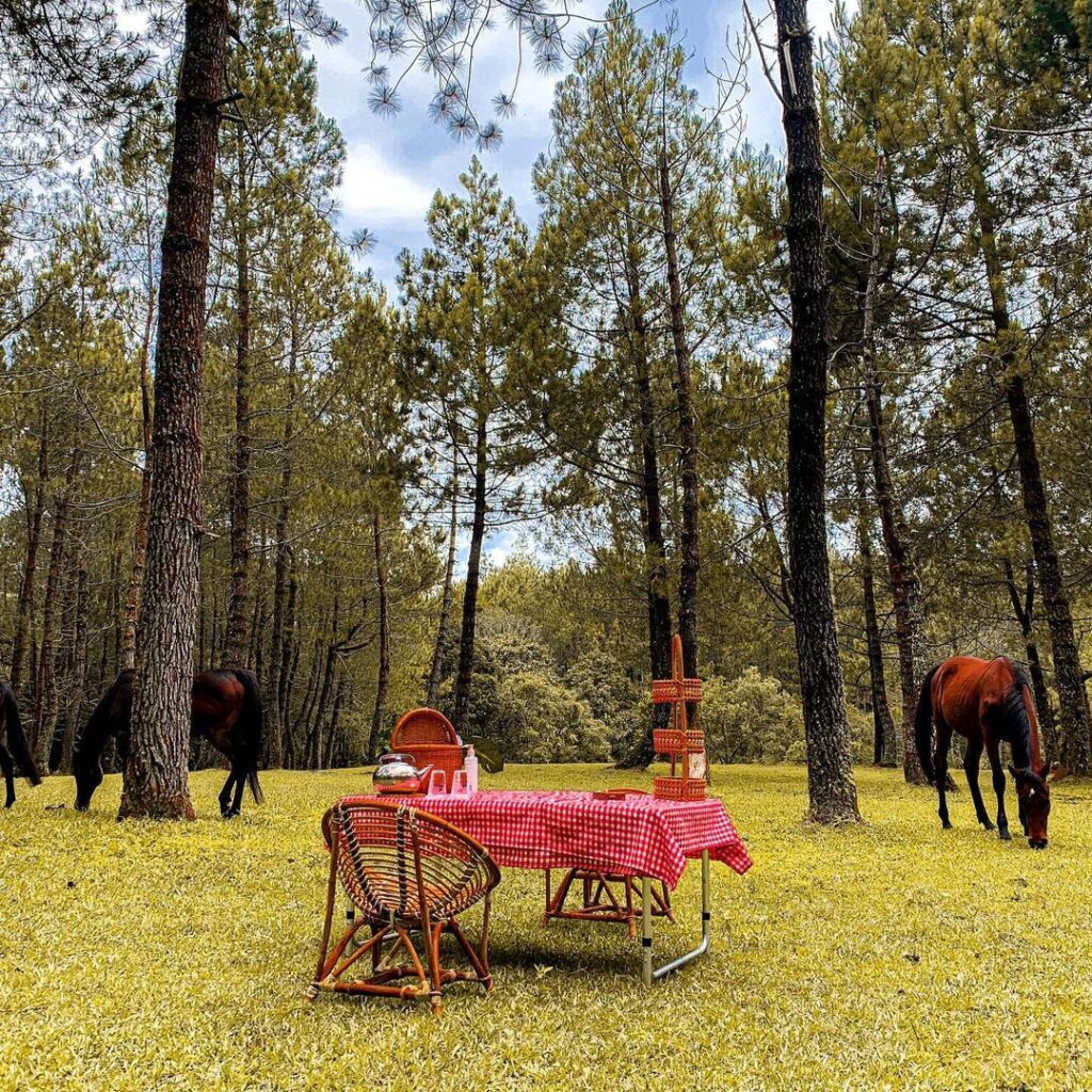 Lembang Glamping Escape
